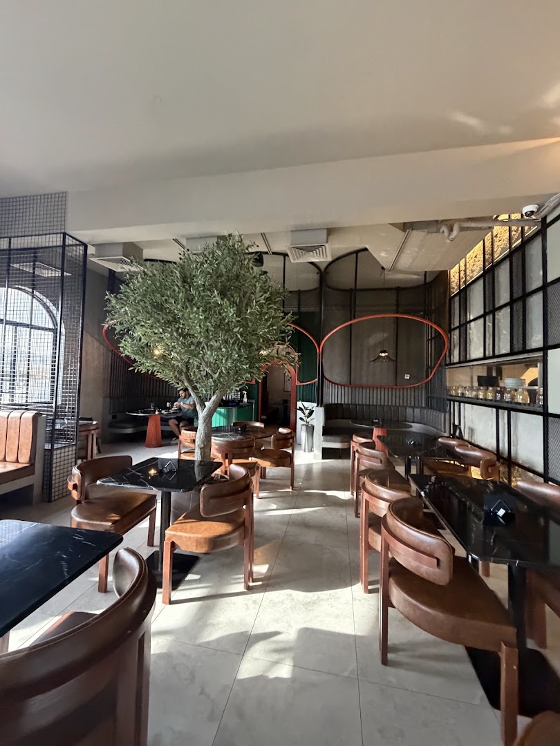 Olio dining room with olive tree, warm chairs and arched details